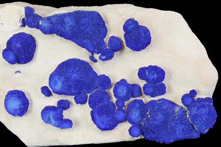 Blue Azurite Sun Cluster on Siltstone - Australia #142795